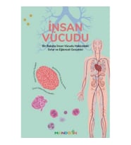 İnsan Vücudu