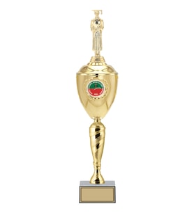 ODAK KUPA - Figürlü Kupalar - Mezuniyet Erkek Figürlü Kupalar FG-081 C - 55 cm