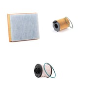 Bosch Filtre Bakım Seti DS DS4 4 1.6 BlueHDi Dizel 120 Beygir Hava + Yağ f. + Yakıt Filtre Bosch
