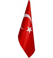 Türk Makam Bayrağı Saçaksız