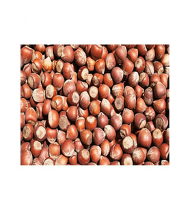 Giresun İnce Kabuk Yağlı Fındık Yeni Mahsül 1 kg