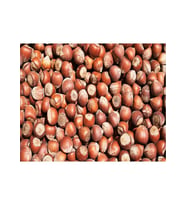 Giresun  İnce Kabuk Yağlı Fındık Yeni Mahsül 1 kg