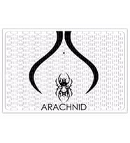 Arachnid Puzzle 240 Parça Yapboz
