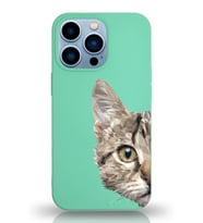 Apple iPhone 13 Pro Uyumlu Lansman Kılıf Catface Tasarımlı İçi Kadife Kapak-Su Yeşili (Şeffaf)