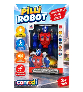 6018 KUT PİLLİ ROBOT 24