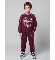 LCW Kids Bordo Harry Potter Baskılı Erkek Çocuk Takım