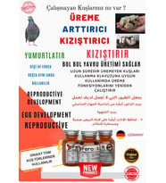 FEROXİT GÜVERCİN ÜREME MİX 100 Gr KIZIŞTIRICI - E VİTAMİNİ