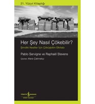 Her Şey Nasıl Çökebilir?