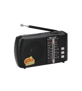 LCF8BT Bluetooth Micro SD FM Radyo USB Cep Radyosu