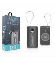 AURIS ARS-PB160 Portable Mobile Power Series
