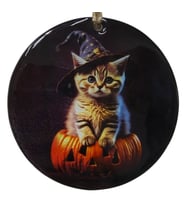 Sihirbaz Kedi Temalı Cam Kapı Süsü - Hediyelik Halloween Dekorasyonu - 12 cm