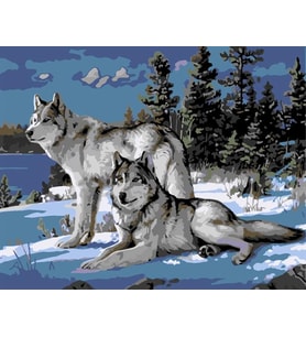 Kurt Sürüsü Sayılarla Boyama Seti 40x50 cm  (Tuvale Gerili)