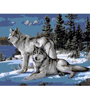 Kurt Sürüsü Sayılarla Boyama Seti 40x50 cm  (Tuvale Gerili)