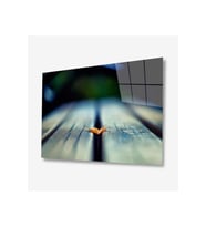 Doğa Cam Tablo 4mm Dayanıklı Temperli Cam (Çok Renkli)