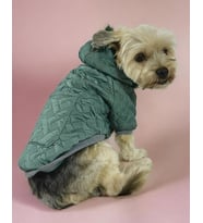 Green Comfie Köpek Montu, Köpek Ceketi, Köpek Dış Giyim