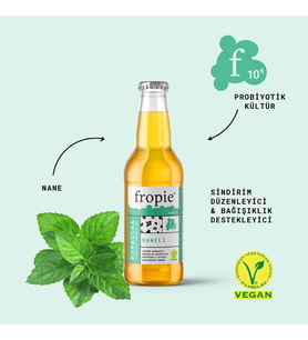 Probiyotik Kombucha Naneli 200 ml