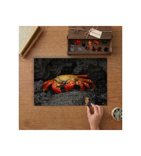 Yengeç Hayvan Yaban Hayvan Tasarımı 240 parça Ahşap Puzzle Ahşap Kutuda MP01998