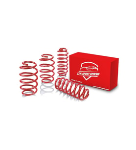 VW PASSAT B6  ( 2005-2010 ) 50 mm Spor Helezon Yay Ctk Spor Springs 4 Lü Set 5 Yıl Garantili