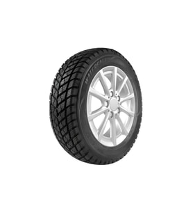 195/75R16C 107/105R ECO WINTER WATERFALL (K24)