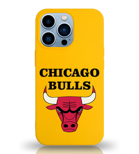 Apple iPhone 13 Pro Max  Lansman Kılıf Chicago Bulls Tasarımlı Altı Kapalı İçi Kadife Kaplı  Kapak (Şeffaf)