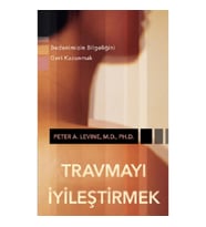 Travmayı İyileştirmek