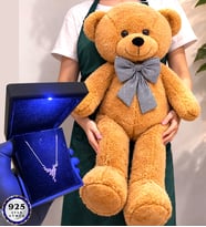 Premium Set Büyük Boy Kahve Peluş Ayıcık ve Işıklı Kutusunda 925 Ayar Gümüş Kolye (Model 3)