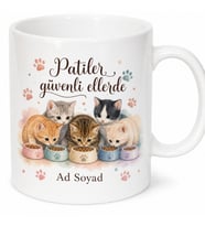 İsimli Kedi Mama Kabı Desenli Veteriner Kupası Özel Tasarım Hediye Bardak
