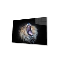 Aslan Cam Tablo 4mm Dayanıklı Temperli Cam (Çok Renkli)