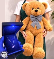 Premium Set Büyük Boy Kahve Peluş Ayıcık ve Işıklı Kutusunda 925 Ayar Gümüş Kolye (Model 7)