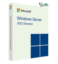 Microsoft Windows Server 2022 Standard ESD Lisans