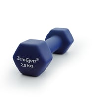 Zerogym Neopren Kaplı  İçi Demir Dambıl 2,5 kg Mavi 1 Adet