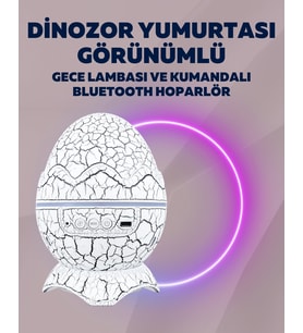 Yıldız Gökyüzü Efektli Çok Modlu Gece Işığı