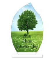 Kişiselleştirilebilir Damla Kristal Plaket (Beyaz)