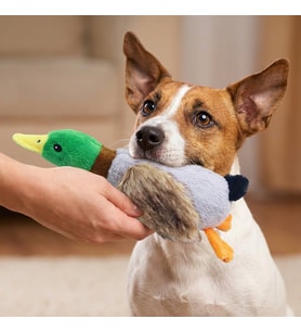 Runaway Sesli Ördek Peluş Köpek Oyuncağı ve Uyku Arkadaşı
