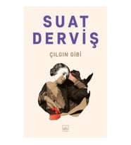 Çılgın Gibi