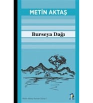 Burseya Dağı (Renksiz)