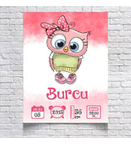 Sevimli Baykuş Temalı Yaş Panosu