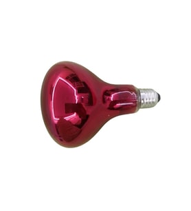 150 Watt İnfrared Civciv Isıtıcı