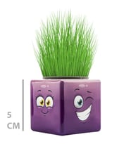 River World 1 Adet Emoji Figürü Mini Küp Olan Çim Adam