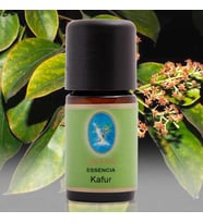 Nuka Kafur Yağı 10 ml