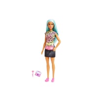 Barbie Mattel Kariyer Bebekleri Dvf50