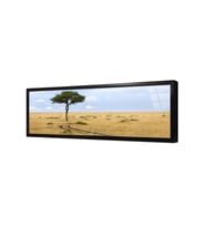 Tek Ağaç Çerçeveli Cam Tablo