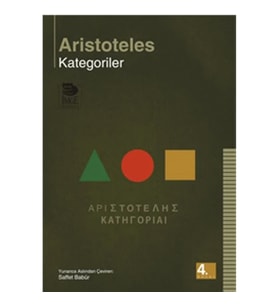 Kategoriler