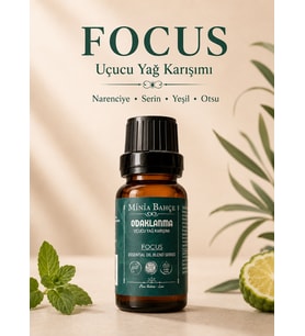 Odaklanma ( Focus ) Uçucu Yağ Karışımı, %100 Saf, 10 ml