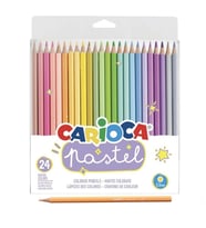 Pastel Renkli Kuru Boya Kalemi 24'lü