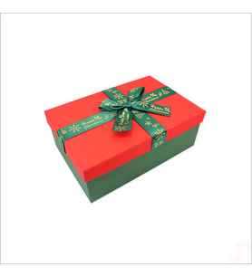 Kırmızı Kapaklı Fiyonklu Yeşil Kutu, 19 cm - Küçük Boy