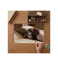 Battaniyenin Altındaki Sevimli Kedi Tasarımı 240 parça Ahşap Puzzle Ahşap Kutuda MP05598