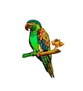 3 D Ahşap Hayvan Puzzle Papağan