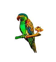 3 D Ahşap Hayvan Puzzle Papağan