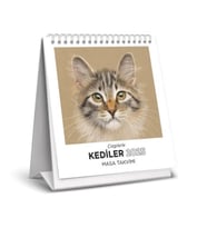 Çizgilerle Kediler 2025 Masa Takvimi